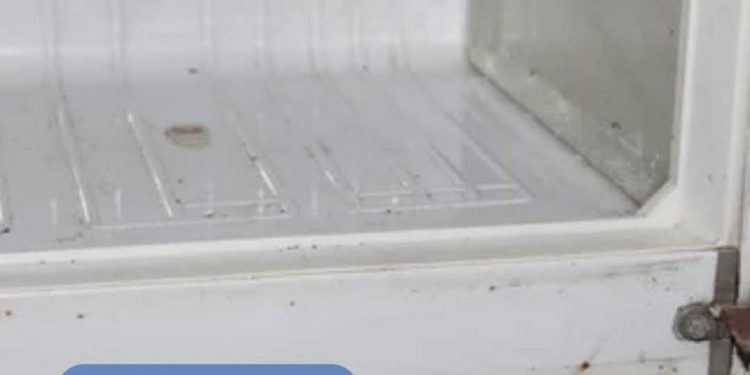 Casal procura a polícia após separação para ver quem fica com a geladeira