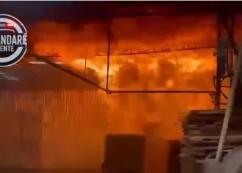 Imagens impressionantes mostram destruição causada por incêndio em madeireira em Rio Branco do Sul