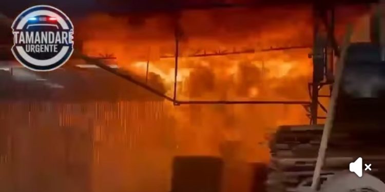 Imagens impressionantes mostram destruição causada por incêndio em madeireira em Rio Branco do Sul