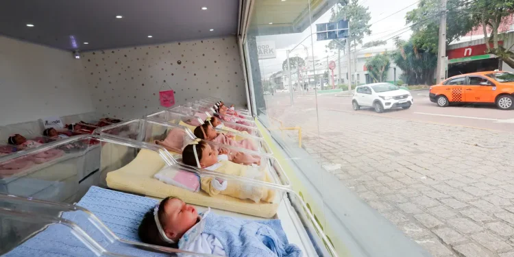 Padre se recusa a batizar bebês reborn e diz que casos devem ser tratados por psiquiatras