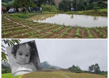 Menina de Dois Anos é Encontrada Morta Após Desaparecimento