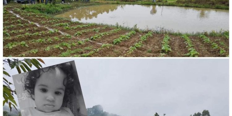 Menina de Dois Anos é Encontrada Morta Após Desaparecimento