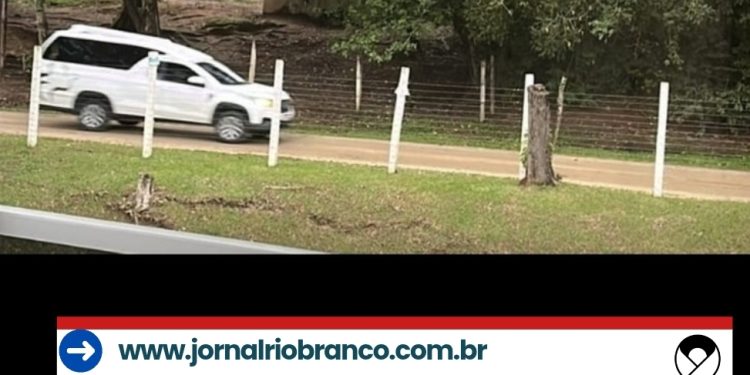 Rio Branco do Sul | Corpo de mãe e bebê são velados na zona rural