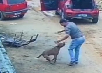 Homem é atacado por Pitbull