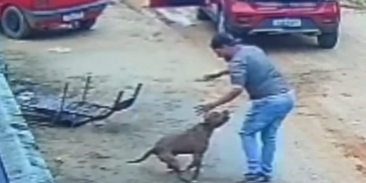 Homem é atacado por Pitbull