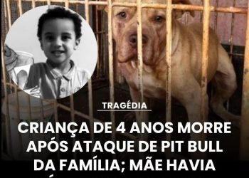 Brasil | Ataque Pitbull mata criança