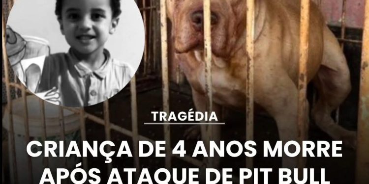 Brasil | Ataque Pitbull mata criança