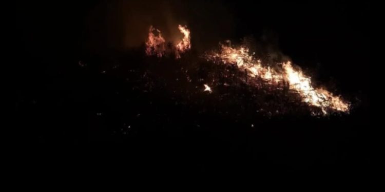 Incêndio em área de mata trás transtorno no bairro Albarana em Rio Branco do Sul