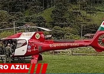 Árvore cai em cima de trabalhador em Cerro Azul