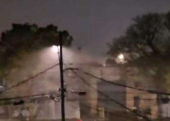 Ventos de até 74 km/h derrubam árvores em Curitiba