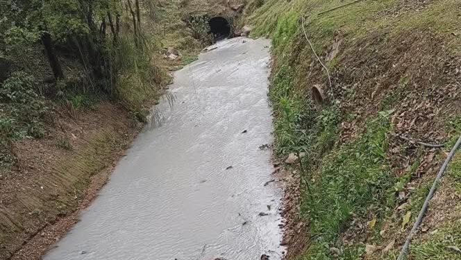 Coloração de Rio chama atenção em Rio Branco do Sul