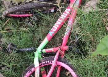 Bicicleta furtada de criança é recuperada após mobilização nas redes sociais