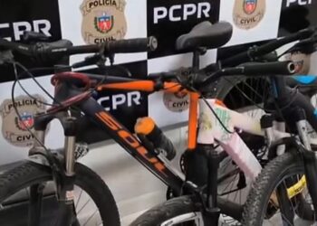 Preso suspeito de furtos em Rio Branco do Sul
