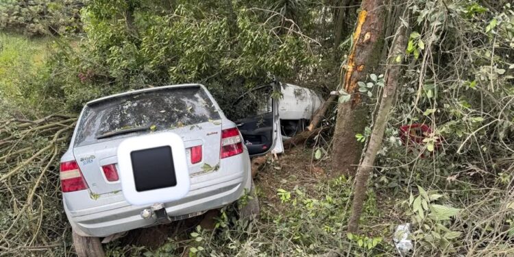 Motorista fica gravemente ferido após colisão com árvore na Rodovia dos Minérios