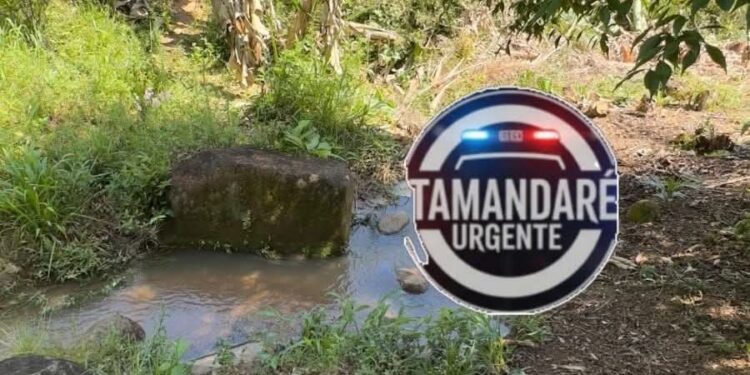 Idoso é encontrado morto em córrego na zona rural de Cerro Azul