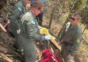 Trabalhador é socorrido de helicóptero após ser atingido por árvore