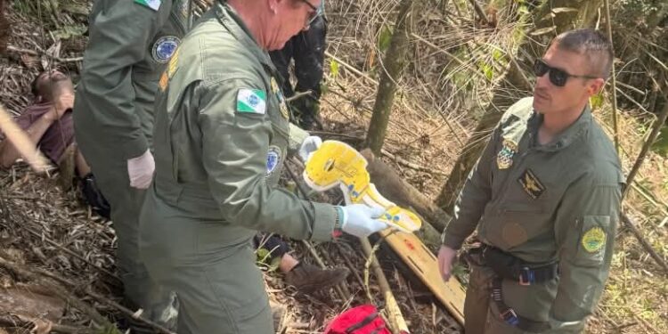 Trabalhador é socorrido de helicóptero após ser atingido por árvore