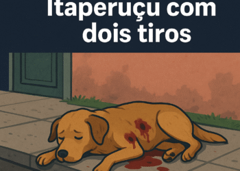 Spaik é morto com dois tiros em Itaperuçu (PR)