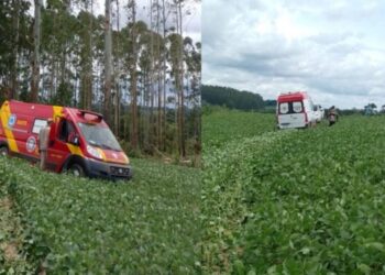 Trabalhador é atropelado por trator e fica gravemente ferido