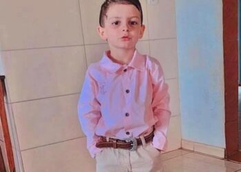 Criança de 6 anos é picado por cobra Cascavel no Paraná