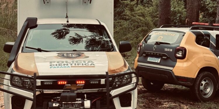 Mulher é encontrada morta no Contorno Norte, em Almirante Tamandaré