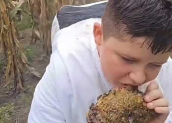 Cerro Azul: menino de 12 anos chama atenção ao cuidar de suas próprias abelhas