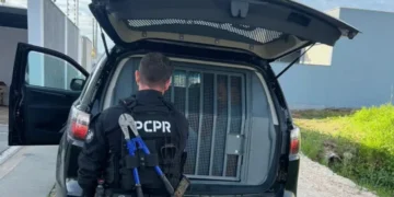 Homem condenado por estupro de vulnerável é preso