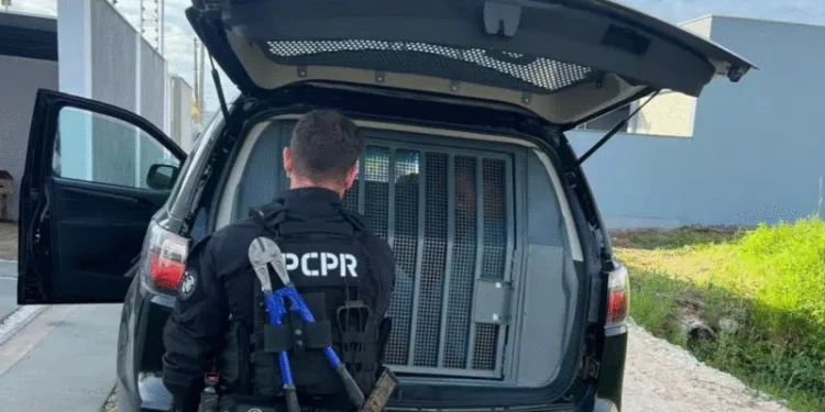 Homem condenado por estupro de vulnerável é preso