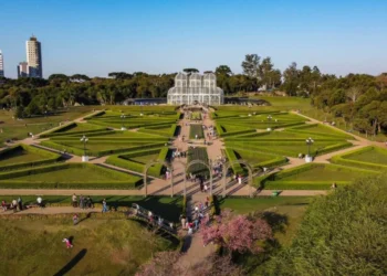 Aniversário de Curitiba tem shows gratuitos e carne de onça gigante; saiba onde