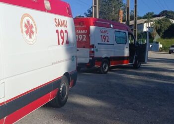 Homem fica ferido após cair de Pinheiro em Rio Branco do Sul