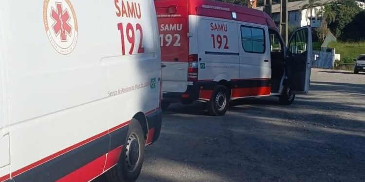 Homem fica ferido após cair de Pinheiro em Rio Branco do Sul