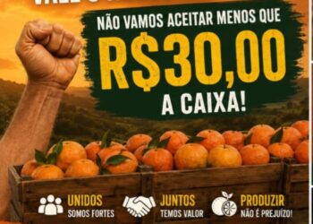União faz a força! Produtores de Cerro Azul estão na bronca com a desvalorização da Ponkan