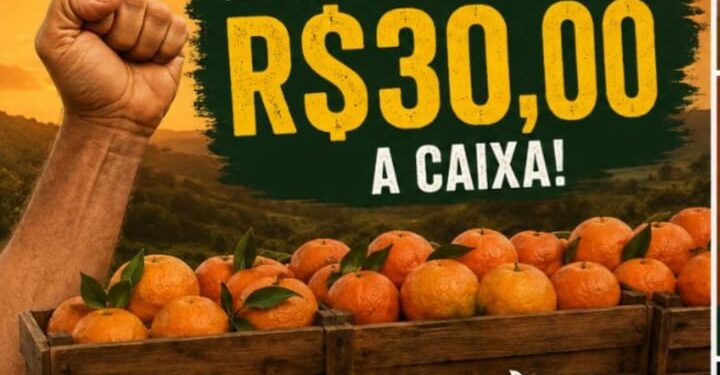 União faz a força! Produtores de Cerro Azul estão na bronca com a desvalorização da Ponkan
