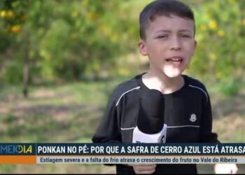 Influenciador mirim de Cerro Azul conquista a RPC e ganha destaque em telejornal da Globo
