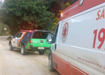 Homem é socorrido em estado grave após queda de árvore e levado de helicóptero para Curitiba