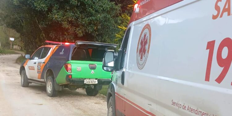 Homem é socorrido em estado grave após queda de árvore e levado de helicóptero para Curitiba