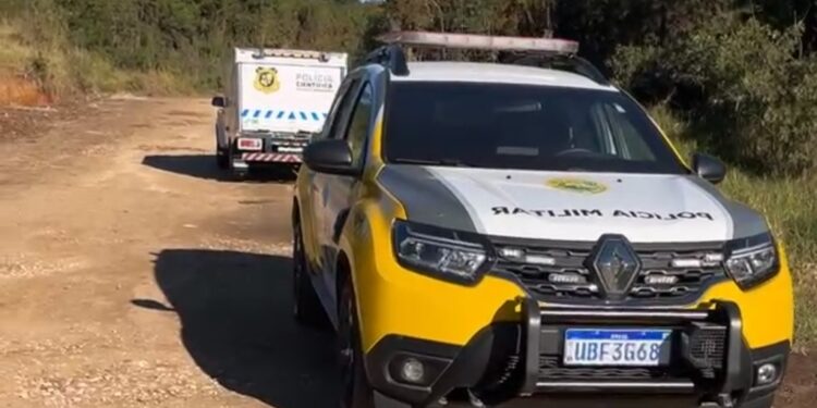 Identificado adolescente encontrado morto em área de mata em Rio Branco do Sul