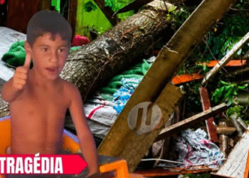 🌧️ #Temporal: menino de 8 anos morre após árvore cair sobre casa