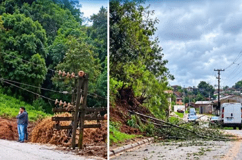 Prefeitura de Rio Branco do Sul cria força tarefa para atender a população