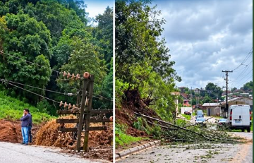 Prefeitura de Rio Branco do Sul cria força tarefa para atender a população
